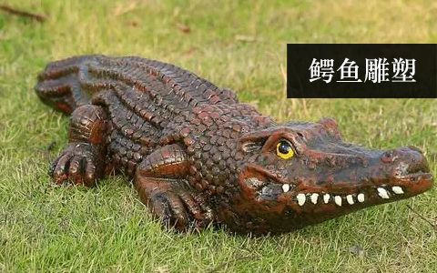 鱷魚(yú)雕塑